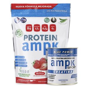 Combo Proteína + Creatina