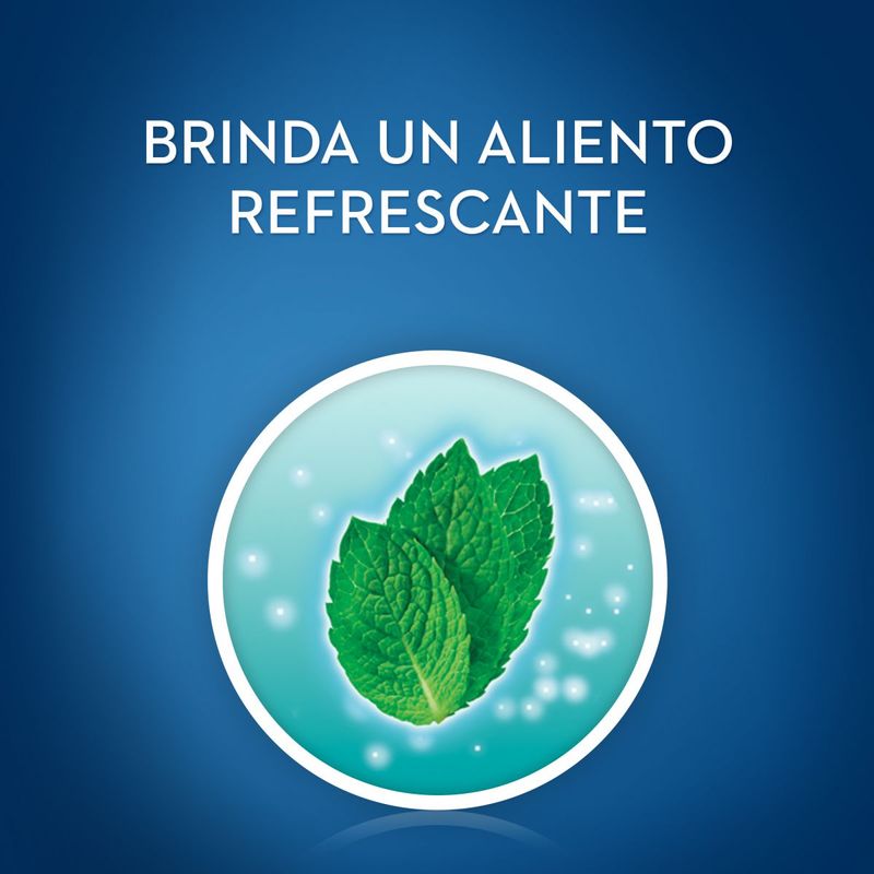 8024549_2_fc2349775c40c303208c24cf6fd8ffd9