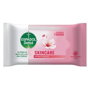 Toallas antibacteriales skincare (10 unidades)