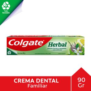 Pasta dental herbal 90 gr