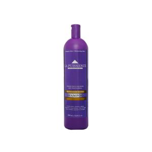 Shampoo Silver 1 L