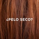 3_55f3861793353b110ee63271e6a2a7f6