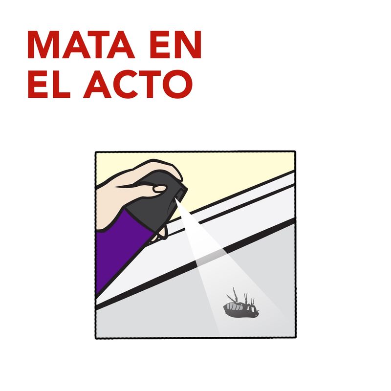 6300903_3_db08ed7fde4e4cc15de1c72930c2551e