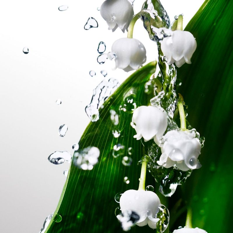 8004264_4_5d2bbd15e092a5b110e7f42dbbbb0f75