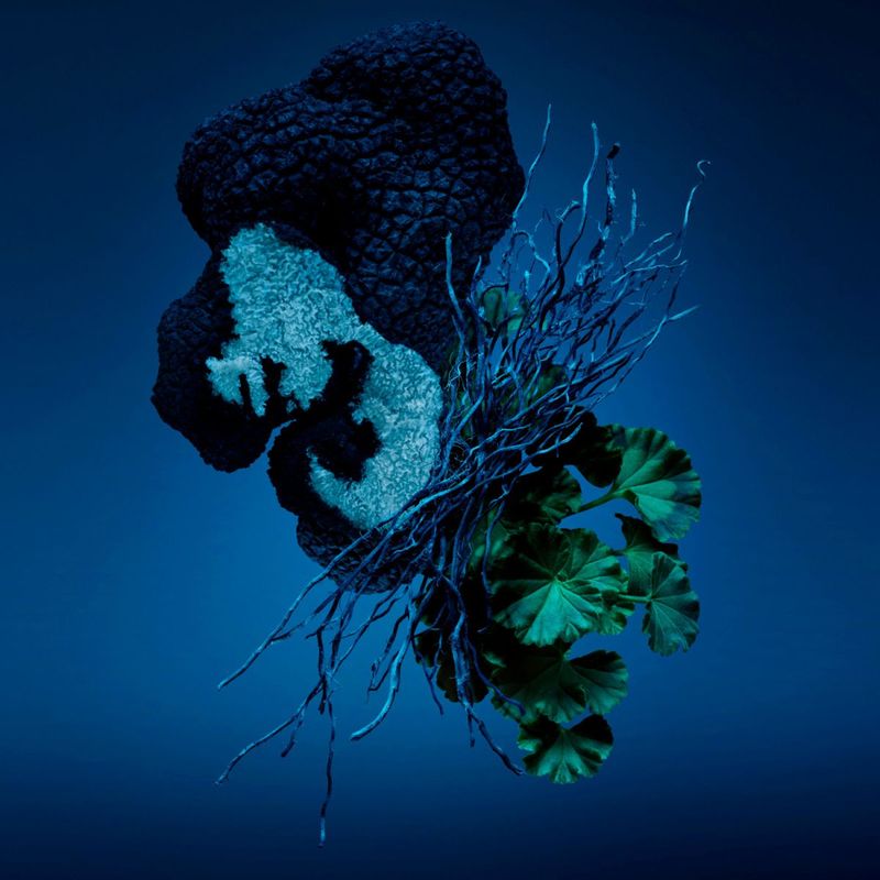 2_ded587deee04513f77f3dee199998aaf