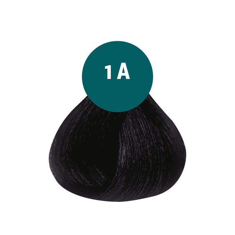 2_bd2bc00ef8e8f08b9933951d1118e847