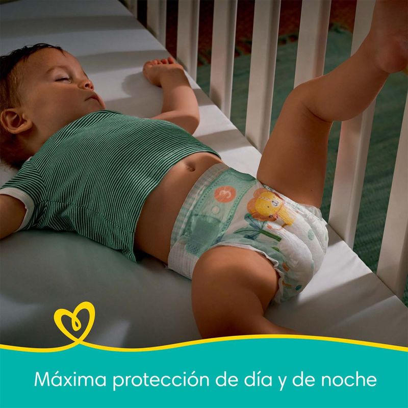 2_6afb5279f3f949c627a29d789fb56110