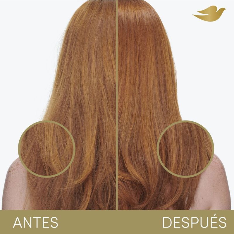 4_2e7422a886c7a67122368169ccac1370