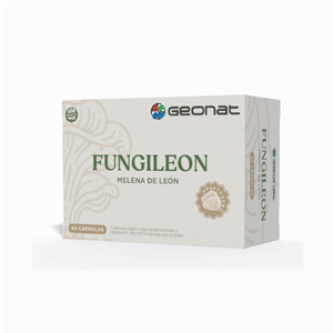 Fungileon melena león (60 cápsulas)