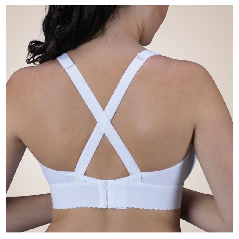 2_d351378d02c086265cb49b999a5de4f0