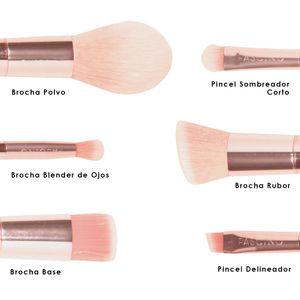 Set de brochas belg bag x 6