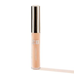 Corrector hd liquido