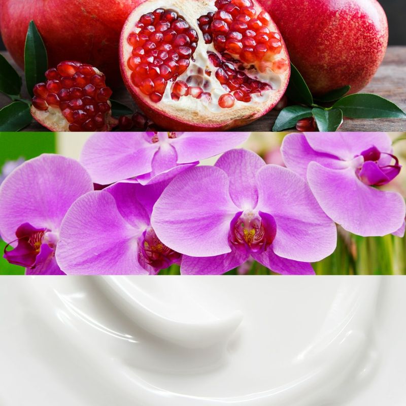 2_a0cfe496f92a4001ce1c5367a4856e7f