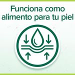 4_2e2985aed86ccad1c932a3fca9455598