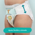 5_62bc66b5139de90baf6426ef3db5aae4