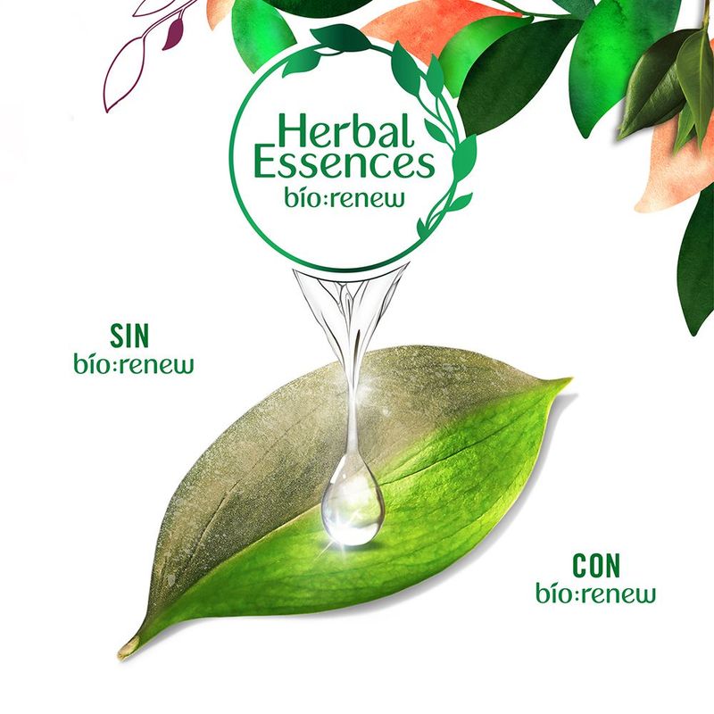 4_d54ab6c953e38331e44985670f6cf31e